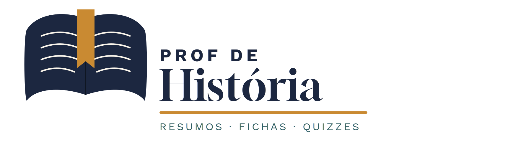 Prof de História